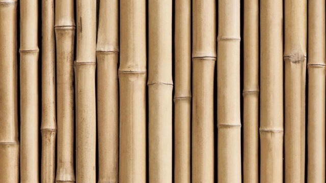 Bambu Sebagai Bahan Organik Dalam Konstruksi