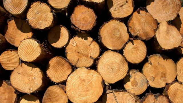 Kayu Sebagai Bahan Organik Dalam Konstruksi