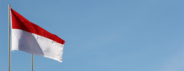  Memetakan Kepentingan Nasional Indonesia