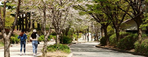 Tips Study Abroad Korea Mahasiswa BINUS Panduan Lengkap untuk Kuliah di Negeri