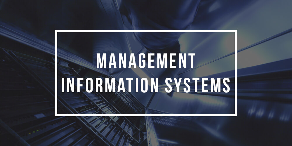 Information System and Management, Jurusan Unik dengan Peluang Kerja Luas