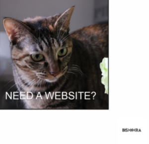 Need a website? https://hehe-co-id.zyrosite.com