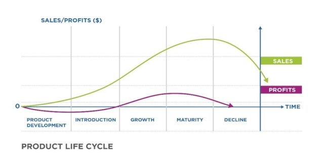 Successful Venture Life Cycle