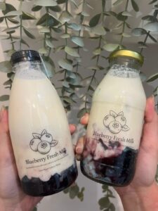 Blueberry Fresh Milk