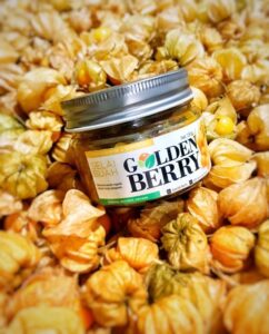 Selai Goldenberry (Ciplukan)