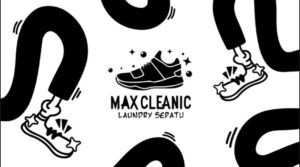 Maxcleanic