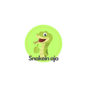 Snakein aja