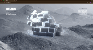 Website Igloo Inc https://www.igloo.inc/