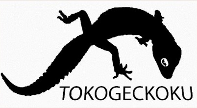 TOKOGECKOKU (Pet Reptil) – Cyber Security