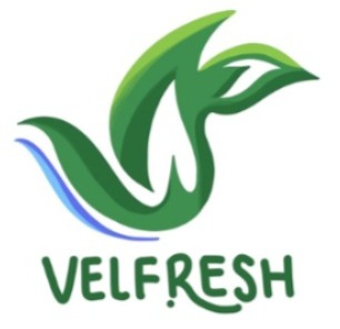 Velfresh (Fresh Food) – International Business Management