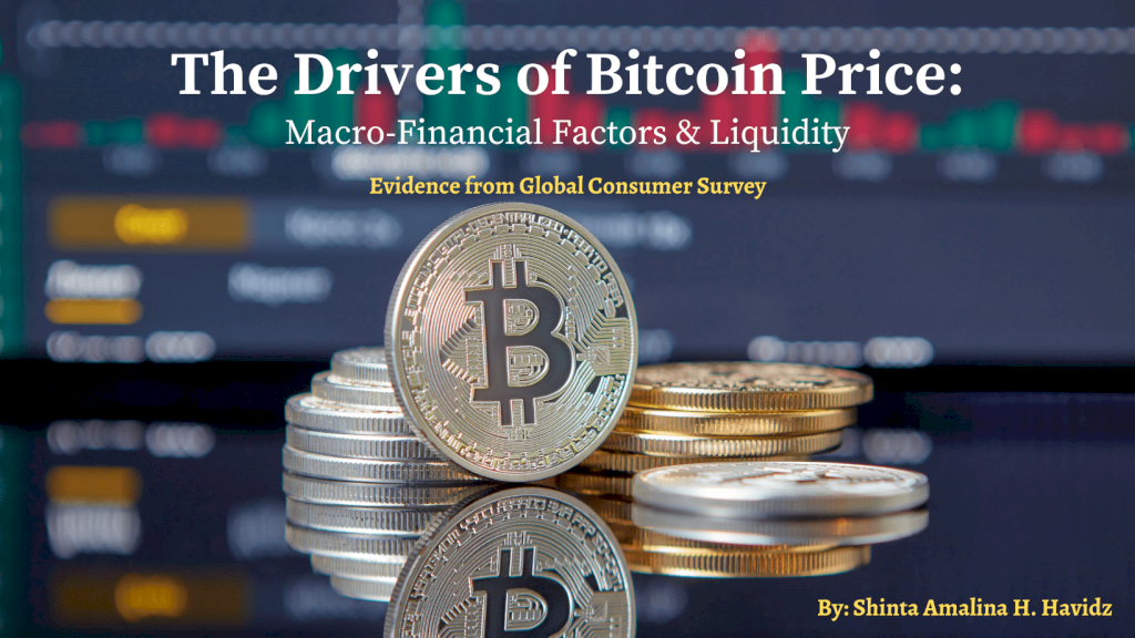 The Drivers of Bitcoin Price