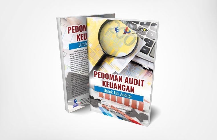 Pedoman Audit Keuangan: Untuk Tim Auditor