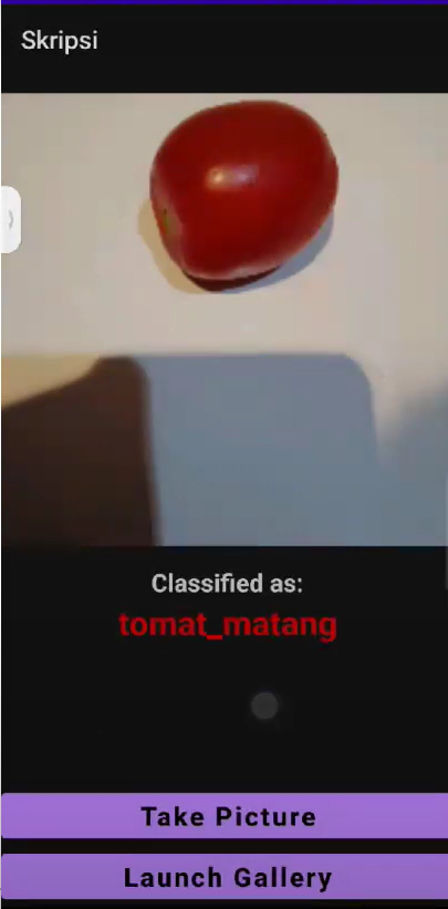 Tomato Ripeness Detection Application