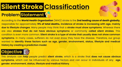 Silent Stroke Classification