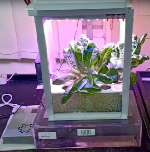 LOTUS System Hydroponic with LED Grow Light