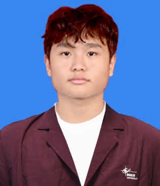 VINCENT WIJAYA