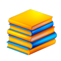 Year 4, Enrichment & Thesis