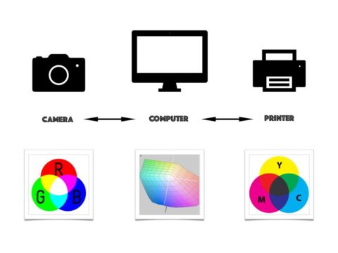 Color Management System: Akurasi Warna sebagai Bahasa Visual – BINUS ...