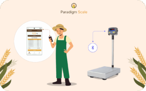 technology transfer binus paradigm scale digital weighing system