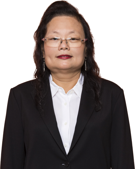 Dr. Meyliana, S.Kom., M.M.