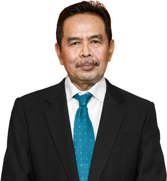 Prof. Dr. Ir. Edi Abdurachman, M.S., M.Sc.