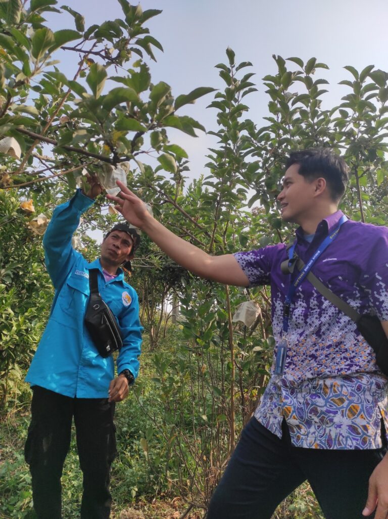 BINUS @Malang Kembangkan Inovasi Teknologi untuk Atasi Penyakit dan Hama pada Apel Manalagi
