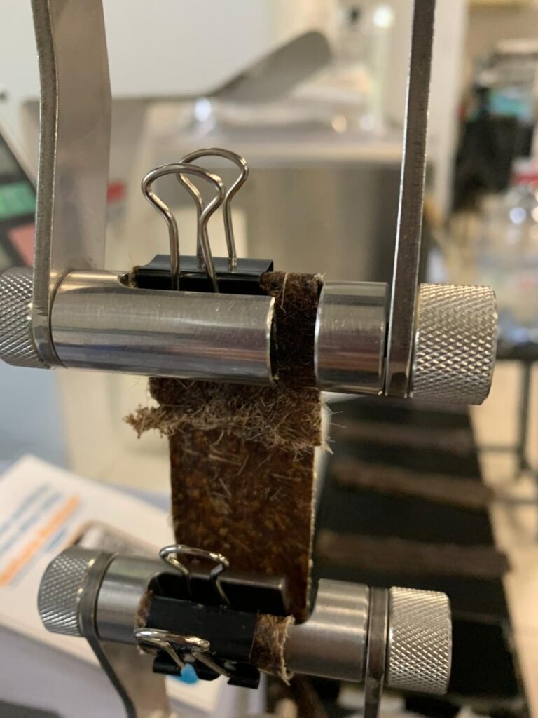 Inovasi Kulit Ramah Lingkungan dari Limbah Kulit Pisang: Kolaborasi Bioteknologi dan Fashion Design BINUS