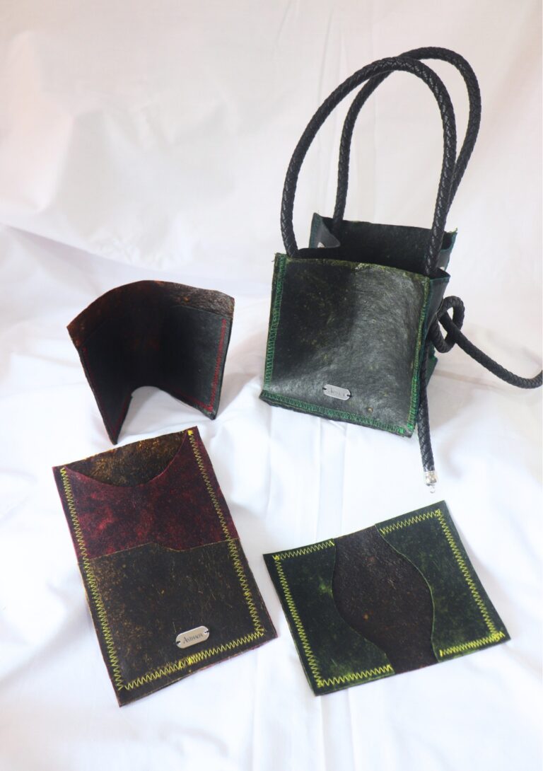 Inovasi Kulit Ramah Lingkungan dari Limbah Kulit Pisang: Kolaborasi Bioteknologi dan Fashion Design BINUS