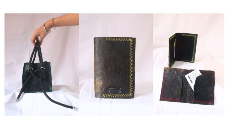 Inovasi Kulit Ramah Lingkungan dari Limbah Kulit Pisang: Kolaborasi Bioteknologi dan Fashion Design BINUS